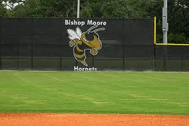 Baseball Windscreen Logos